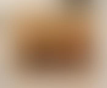 Personnages (preview)