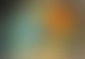 Nature morte (preview)