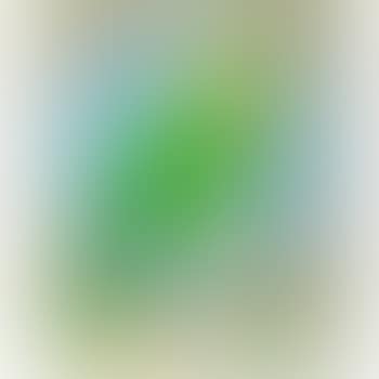 Parrot, from Decade (preview)