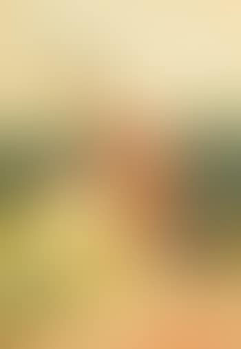 A Corner of The Farmyard (preview)