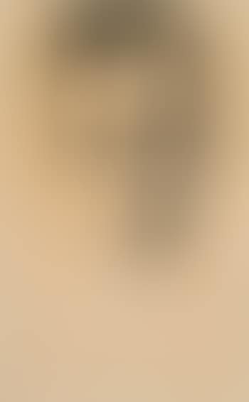 Portrait of Igor Markevitch (preview)