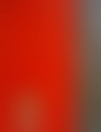 Volto su fondo rosso (preview)