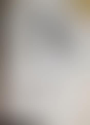 Evelina (preview)