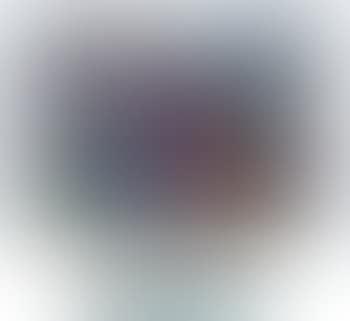 [Untitled] (preview)
