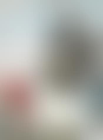 Roter Papagei und Flughund vor weitem Landschaftshintergrund (preview)