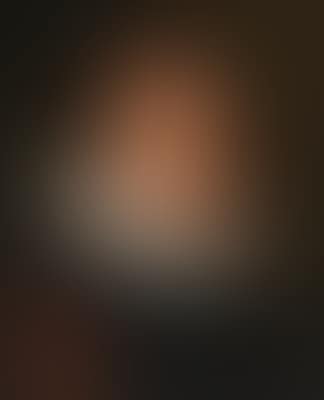 Portrait of a man, bust-length, in a ruff (preview)