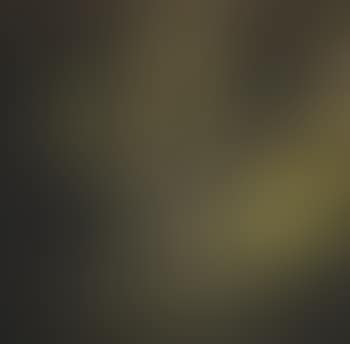 Naissance de l’orchidée jaune by Mathieu Mategot (preview)