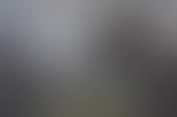 Landscape (preview)