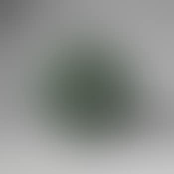 Untitled (Bush) (preview)