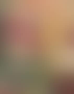 Vase de zinnias (preview)