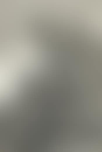 Y aun no se van! Und sie gehen noch immer nicht fort! (preview)