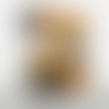 ESU 400-N by Charles Eames (preview)