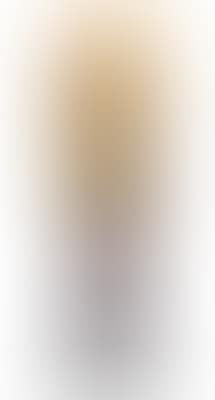 Kleine Vase (preview)