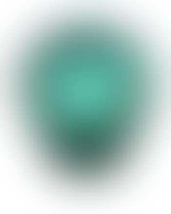 Perruches, Vase (preview)