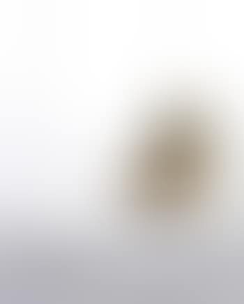 Drop Chair, circa 1958 by Arne Jacobsen (preview)