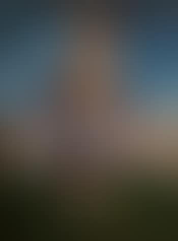 Flutist (preview)