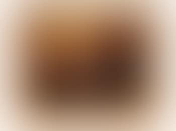 Nature Morte (preview)