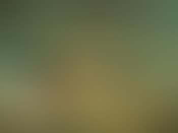 Small Seascape (preview)