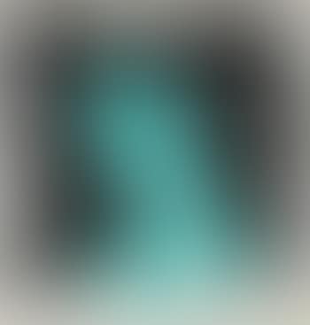 The Looks (preview)