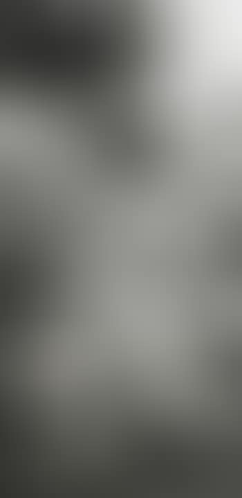 Picture Made by My Hand with the Assistance of Light (preview)