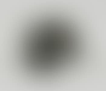 Sanglier (preview)