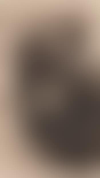 Der Trauernde (preview)