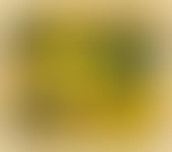 Starlight No. 1 (1); O.T. (Geometrische Komposition) (2); O.T. (Abstrakte Komposition) (3) (preview)
