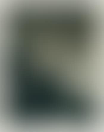 Günter Brus (preview)