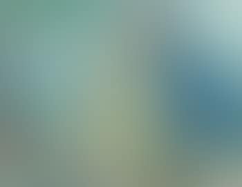 Romantic Picnic, probable interior illustration (preview)