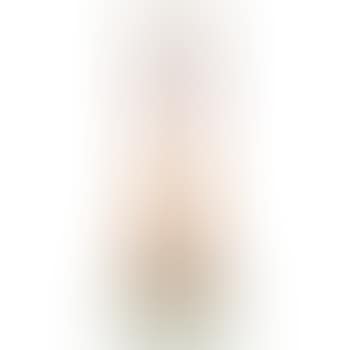 Tall Vase with Leaves (preview)
