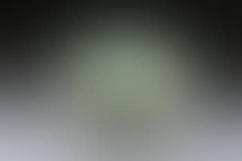 Grand vase boule (preview)