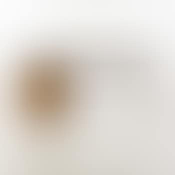 Bureau (preview)
