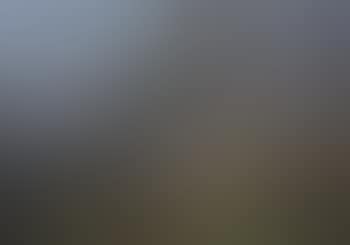 Florida Landscape (preview)