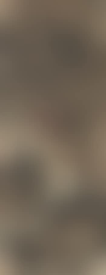Landscape after Mei Qing (preview)