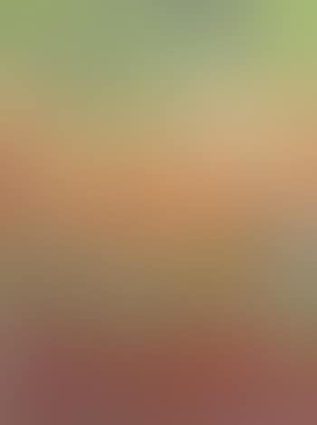 Authum leaves (preview)