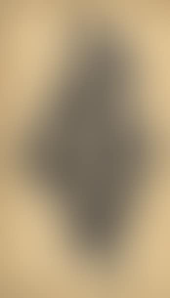 Composition (preview)