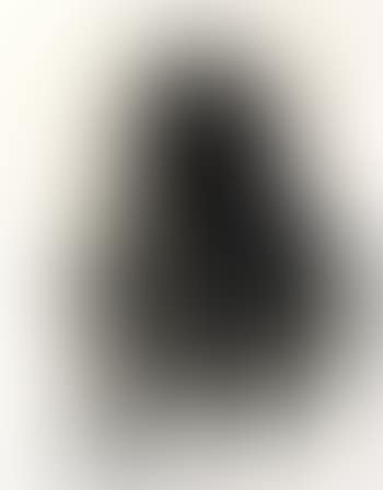 Octavio Paz, three poems 3 (preview)