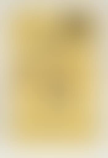 Yellow door (preview)