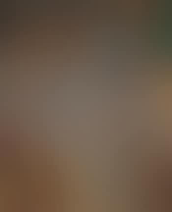 A vase of flowers (preview)