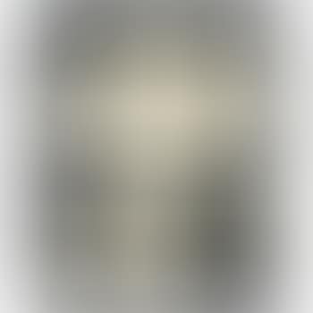 Self Portrait Number Two: My Underwear November 14, 1966 (preview)