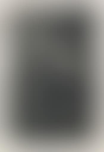 Woman at a Door Hatch Talking to a Man and Children (preview)