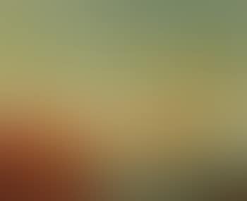 Venise (preview)