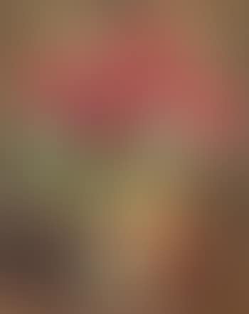 Bouquet de roses (preview)