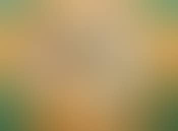 Composition (preview)
