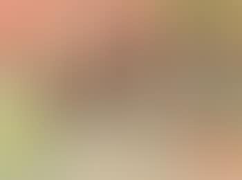 Nature morte (preview)