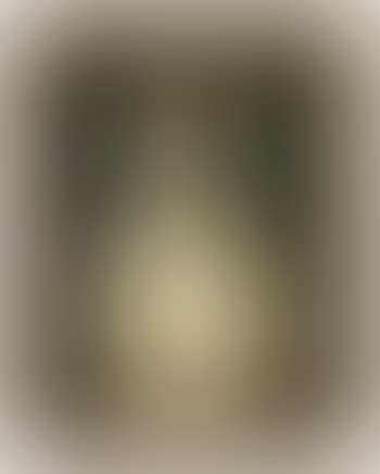Portrait of a nude, half-length (preview)