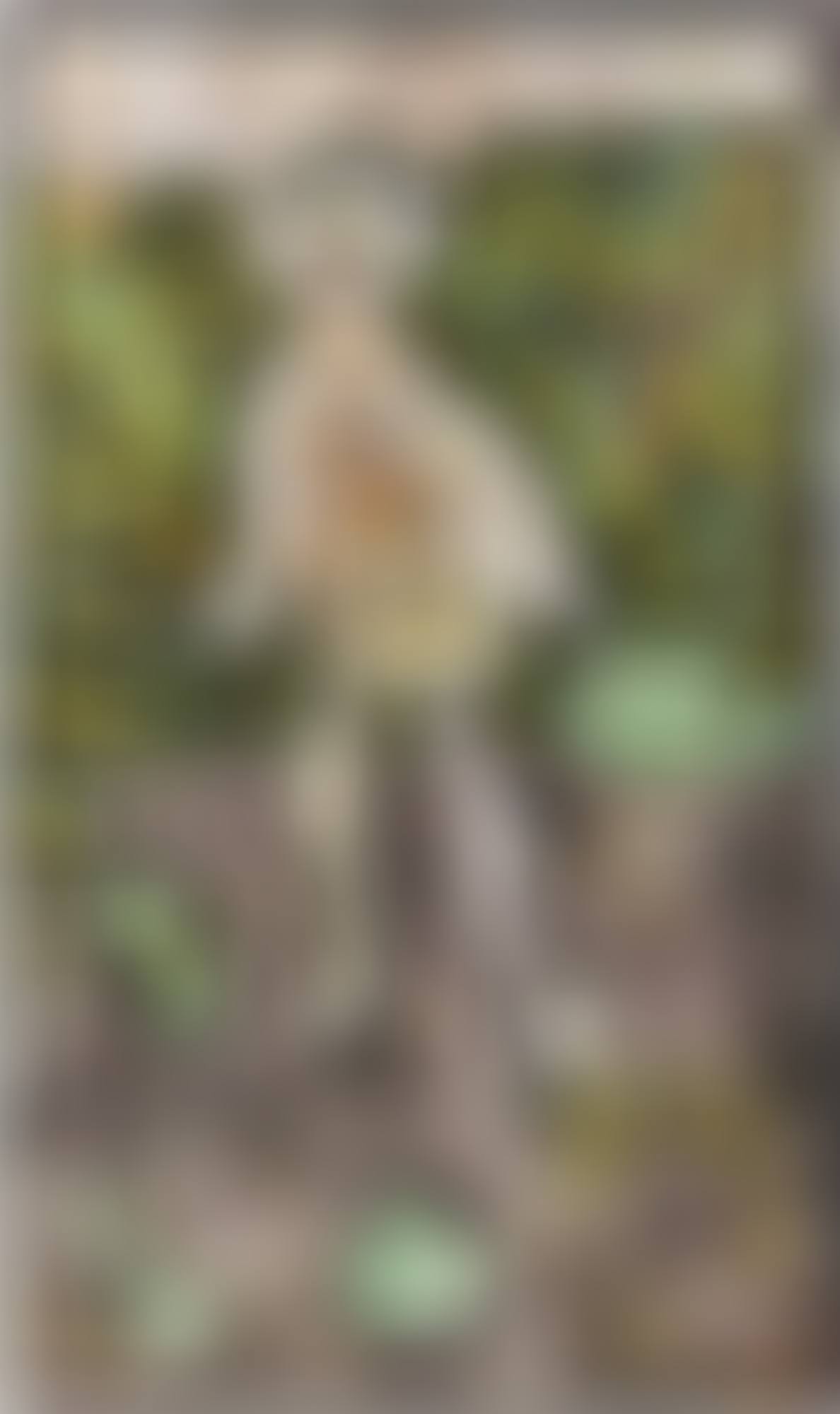 GEORGES DUBUFFET AU JARDIN (preview)
