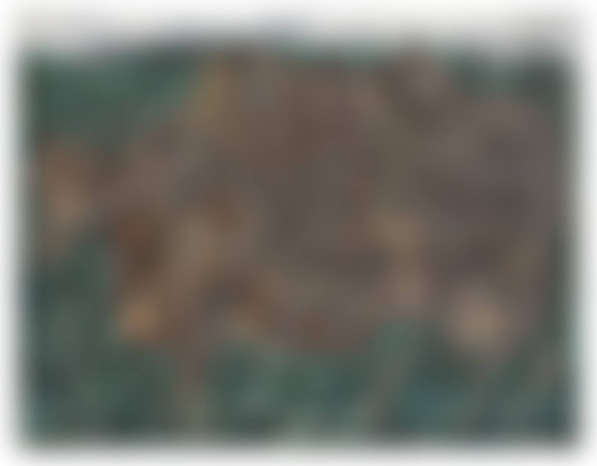VACHE A L'HERBAGE (preview)