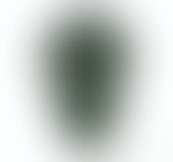 Vase lierre (preview)