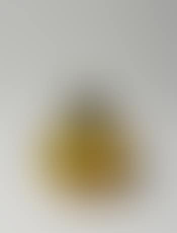 Pumpkin (preview)